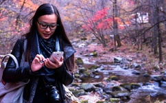 东方曜给西施做剧烈运动图